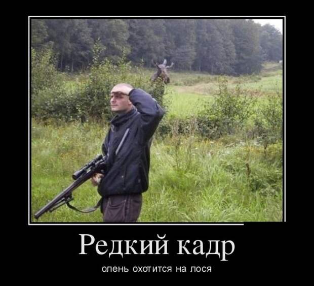 Пятничная подборка демотиваторов демотиватор, юмор