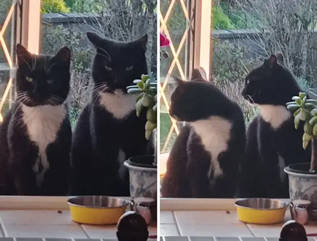 ���� � ������� ��� �������� ���������� � ���� ��������