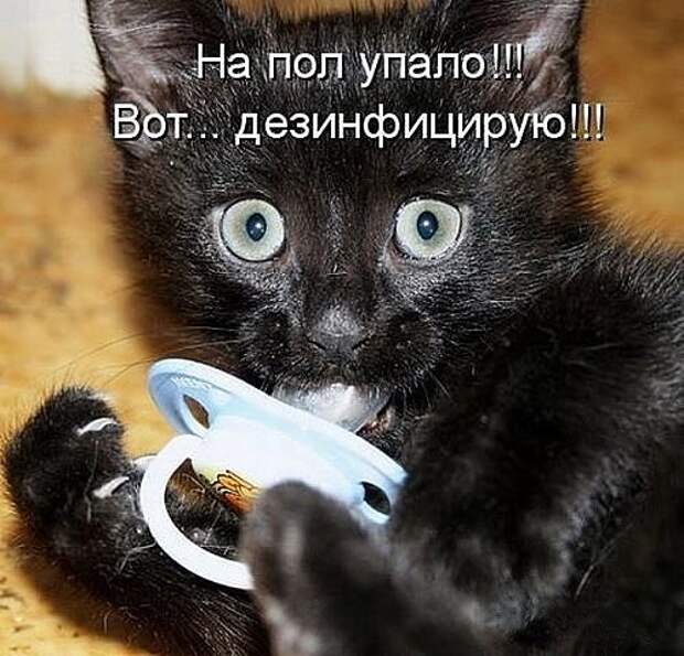 Картинки, приколы