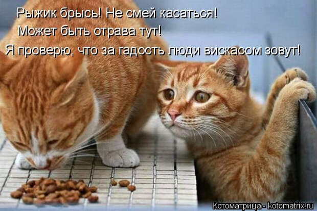 2 (640x427, 238Kb)