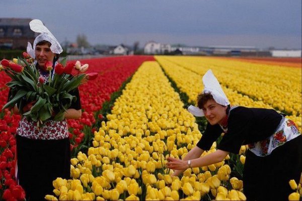 Фотоподборка
