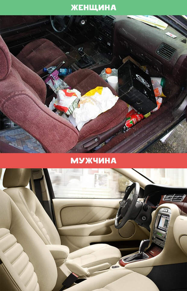 чем отличаются мужчины от женщин 
