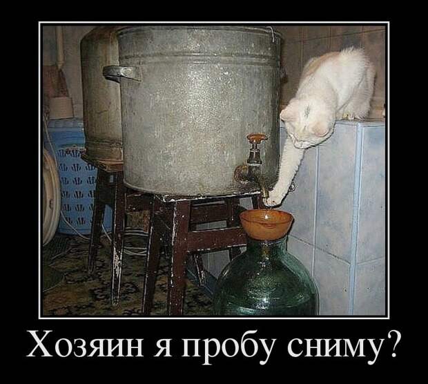 Новые ржачные демотиваторы (19 шт)