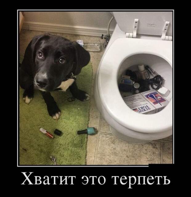 Демотиваторы (30 фото) Демотиваторы (30 фото)
