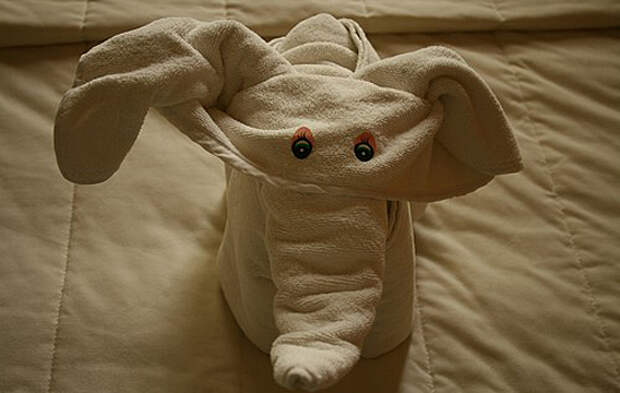 Towel Art