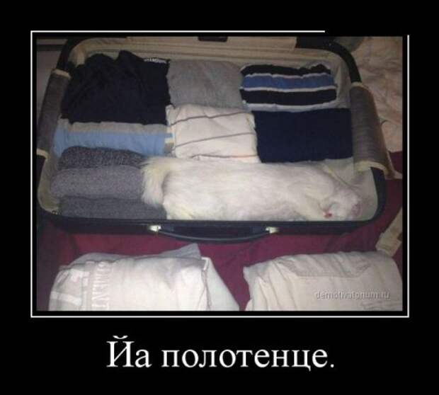 Демотиваторы злобные