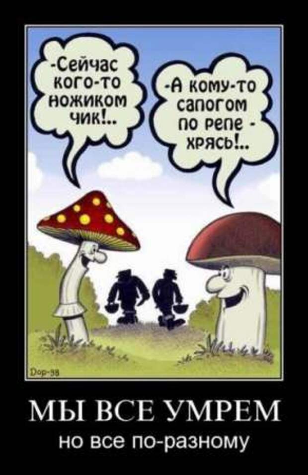 Демотиваторы со смыслом про одиночество, фото плюс текст.