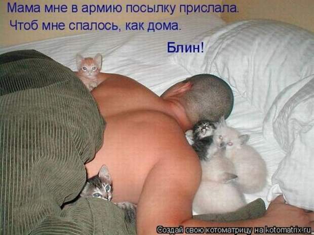 Котоматрица 26