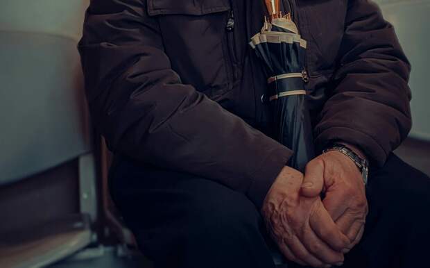 Депутат Панеш назвал категории граждан, которые имеют право на две пенсии