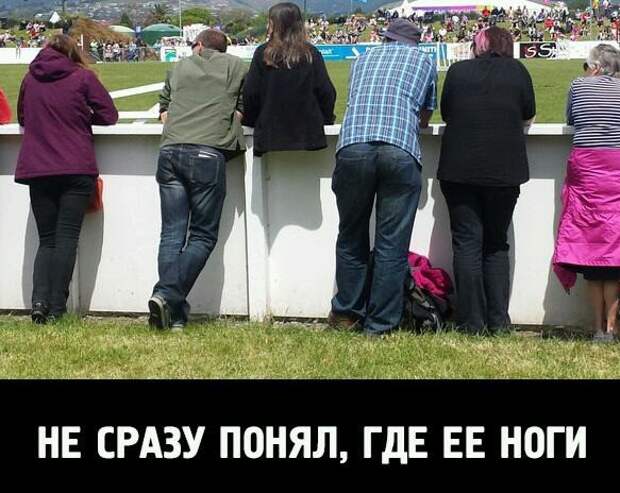 Фотоподборка среда 22.04.15 девушки, коты, юмор