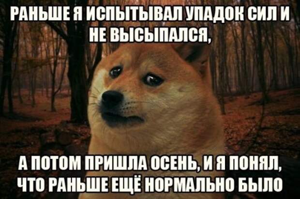 Весёлые анекдоты в конце рабочей недели (20 шт)