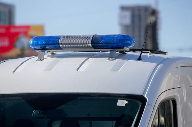 В России запретили и заблокировали сайты с инструкциями по сваттингу