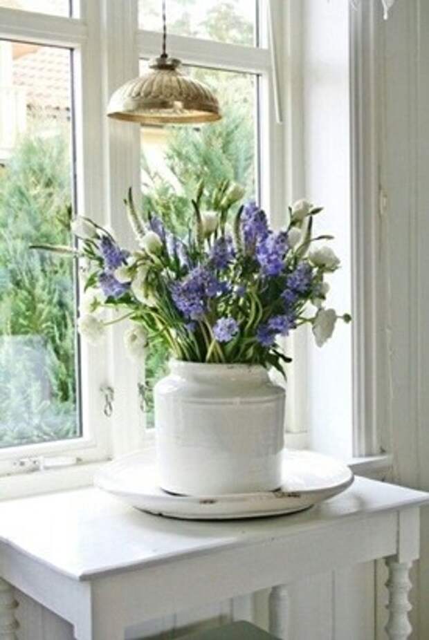 Цветы и растения в интерьере кухни