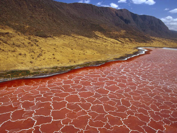 15. Озеро Натрон, Танзания — самое горячее озеро в мире, температура воды 50 градусов. природа, удивительные фотографии, фото