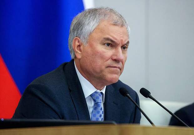 Володин проводит опрос на тему усиления контроля за видеоиграми, в которые играют подростки