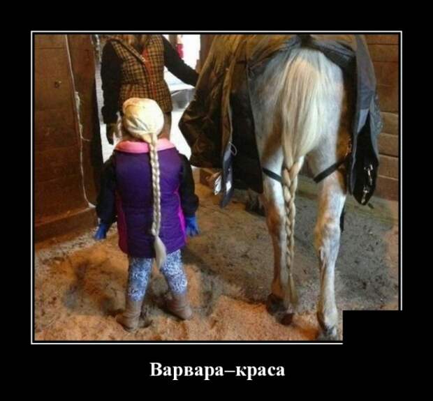 Демотиваторы (30 фото)