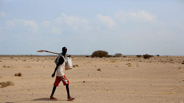 Как сегодня живут люди в стране, история которой похожа на притчу о библейских казнях: Сомалиленд