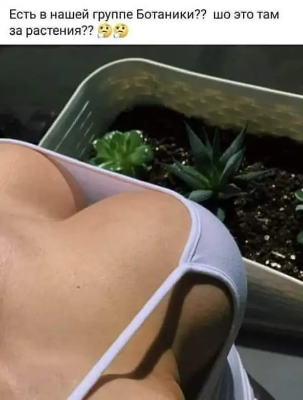 - ˸, ! ,    , ,  !...