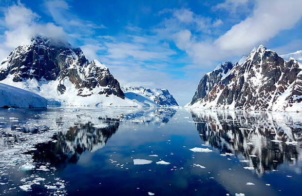 Science Advances: 40 млн лет назад в Антарктиде были реки и леса