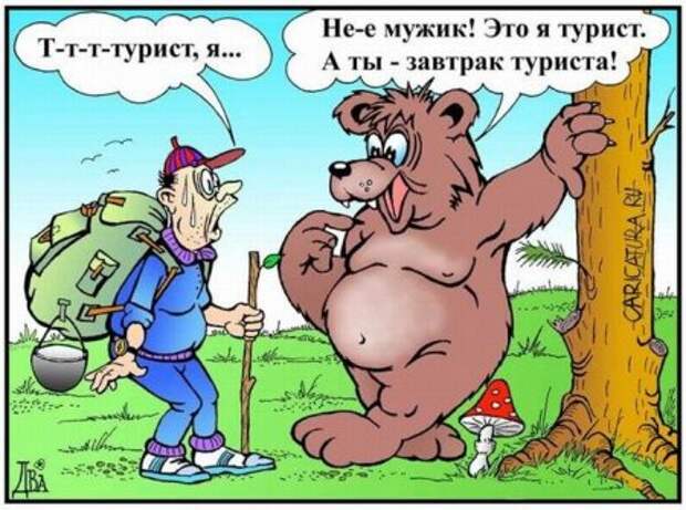 Карикатуры на любителя.