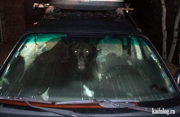 Прикольные противоугонки (50 фото) Прикольные противоугонки (50 фото)