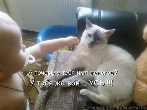Мысли вслух :)
