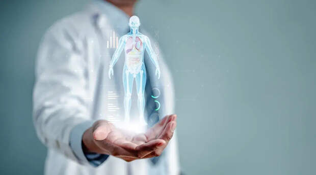 Все дело в мышцах: врач представил четыре стратегии долголетия для каждого возраста