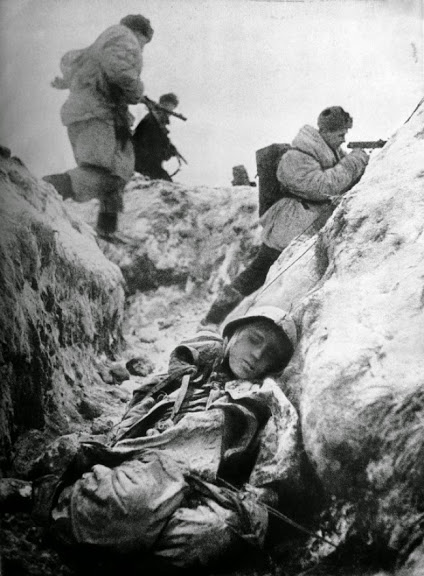 Главные фотографии Главные фотографии