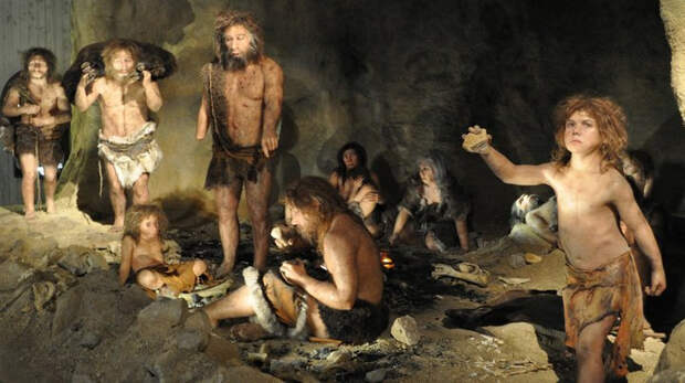 У девочек-неандерталок бицепсы были мощнее, чем у современного взрослого мужчины.