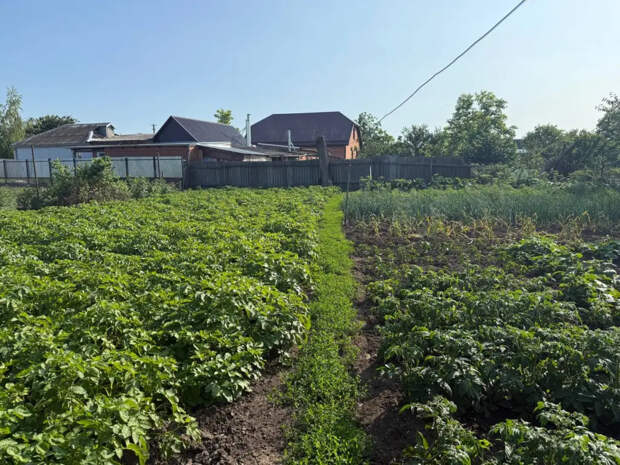 Возьмите на заметку: что Луна велит сажать и полоть с 8 по 11 апреля 2026 года