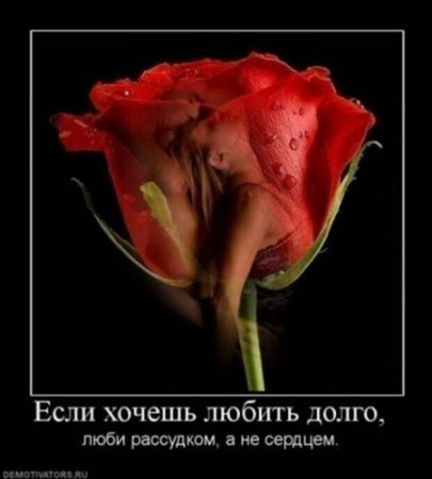 демотиваторы о любви, большая подборка.