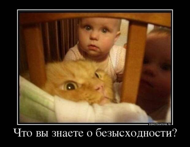Демотиваторы бревно, демотиваторы, юмор