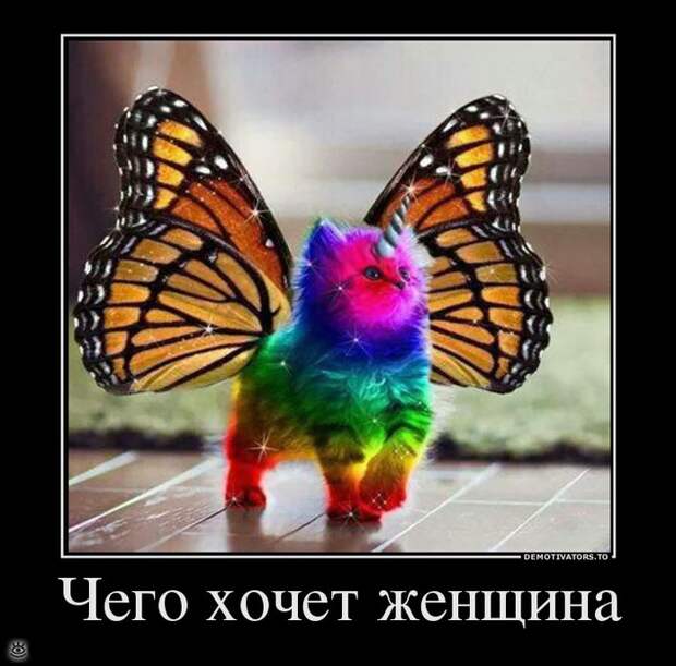 Теперь ты видел всё 13
