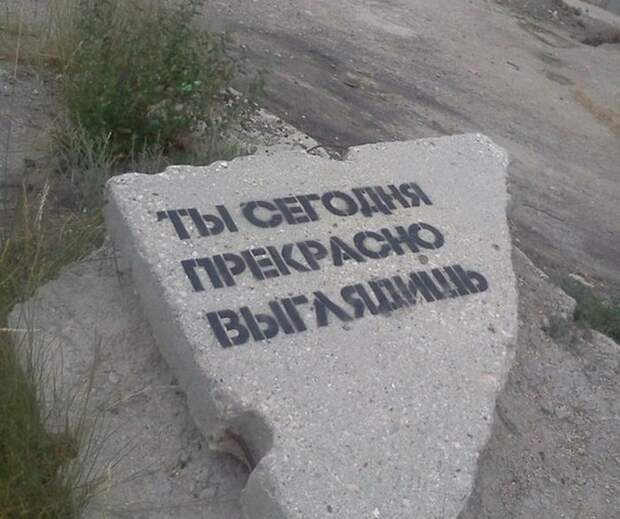 Комплимент на века. Комплимент на века.