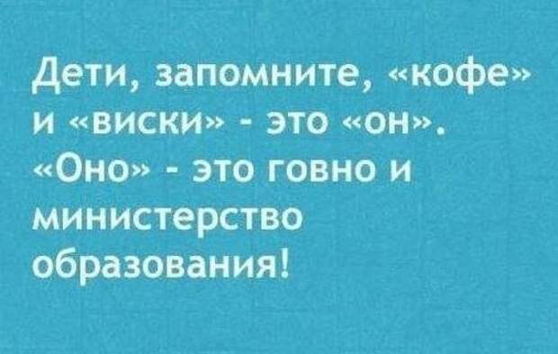 К вопросу касательно грамотности или пишим правельно правила, прикол, русский язык, юмор