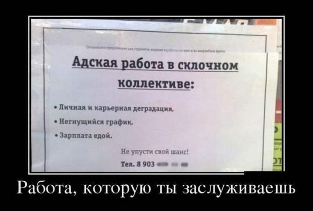 Демотиваторы