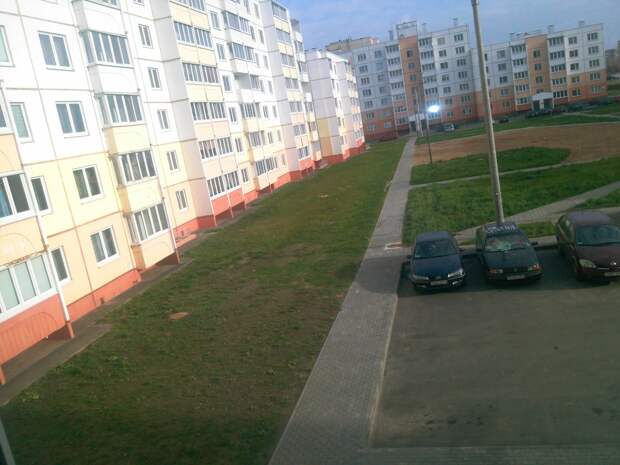 На припаркованный автомобиль сбросили два кочана капусты автоместь, вандализм