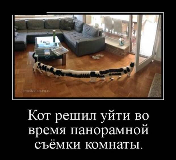 Демотиваторы, фразы с юмором.