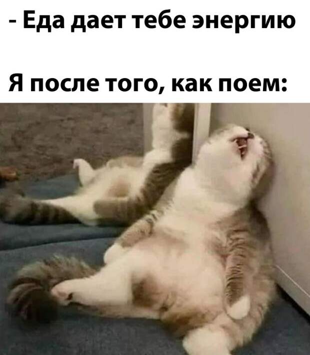 Смешные картинки вечер 18 марта 2021 года