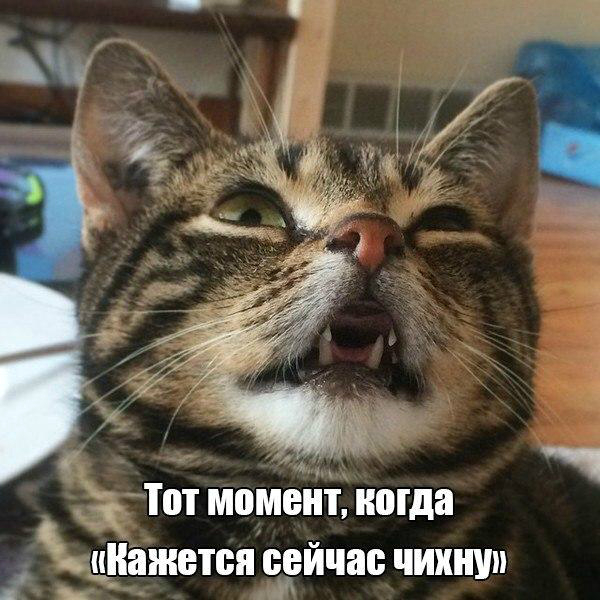 3626569_original (600x600, 275Kb)