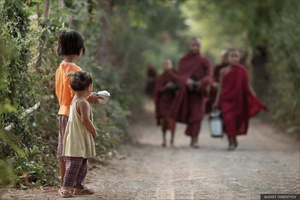 Myanmar03 Рассвет над рисовыми полями и кормление монахов