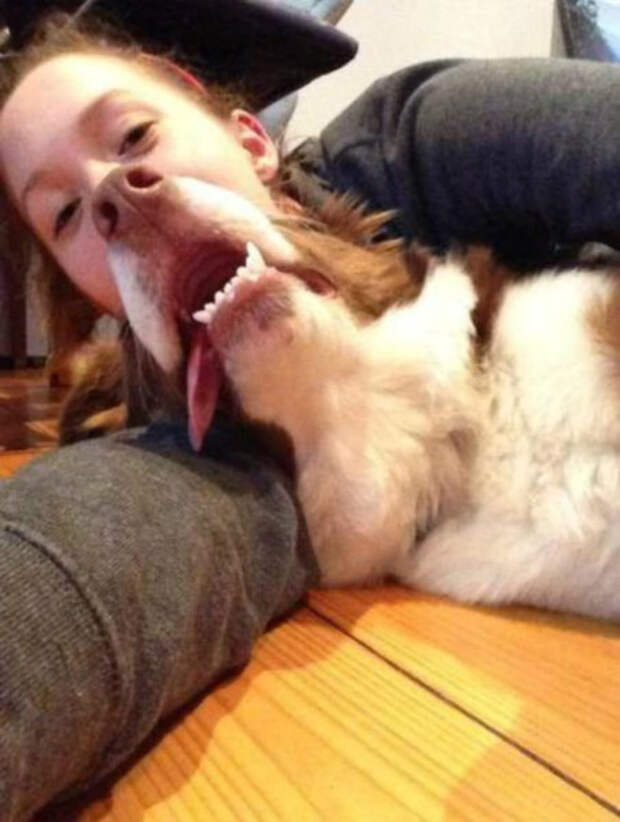 И снова подборка фотографий, сделанных в нужный момент perfectlytimed31 И снова подборка фотографий, сделанных в нужный момент