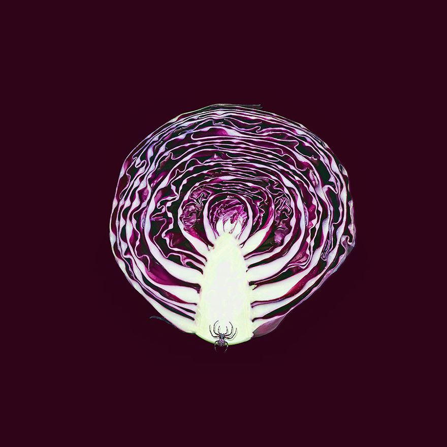816__880