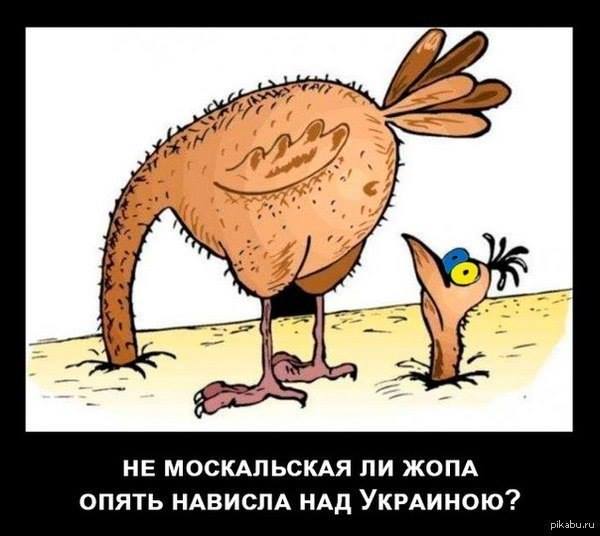 И ТАКИ ДА! НАКИПЕЛО! И ТАКИ ДА! НАКИПЕЛО!