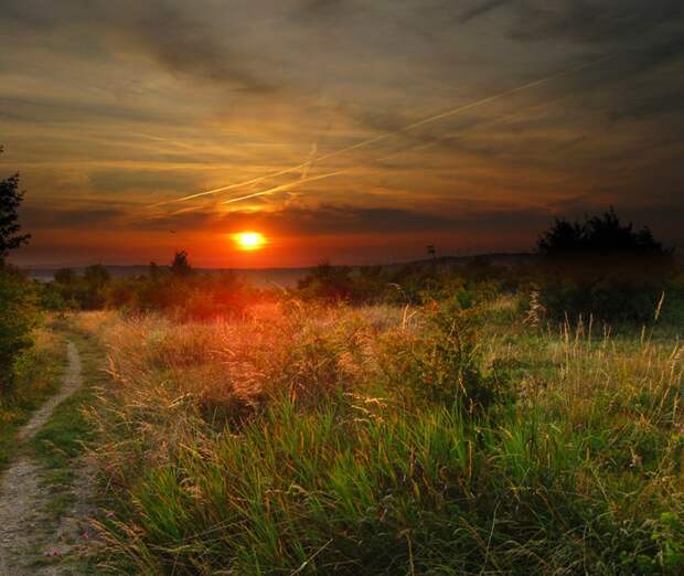 Фото жизнь - mondtag3106 - Пейзажи - Тропинка в закат