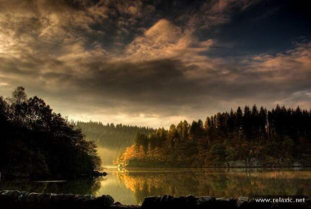 nature_029