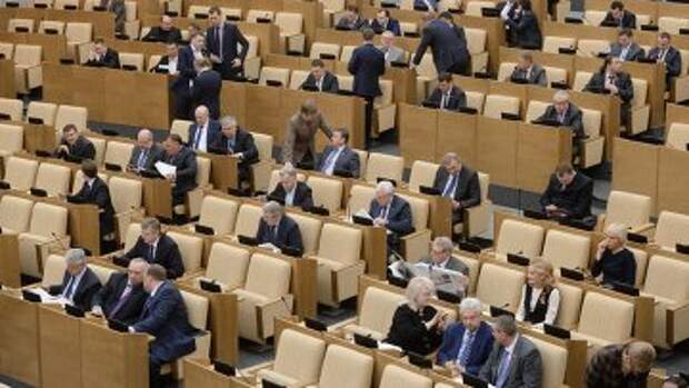 Пленарное заседание Госдумы РФ