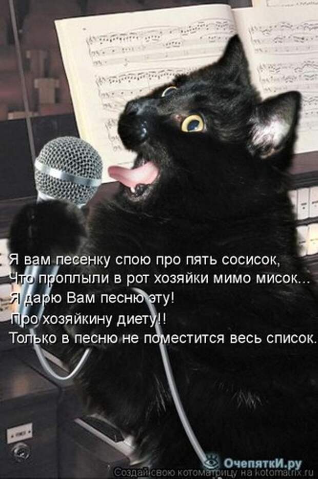 Смешные кошки в котоматрице 7