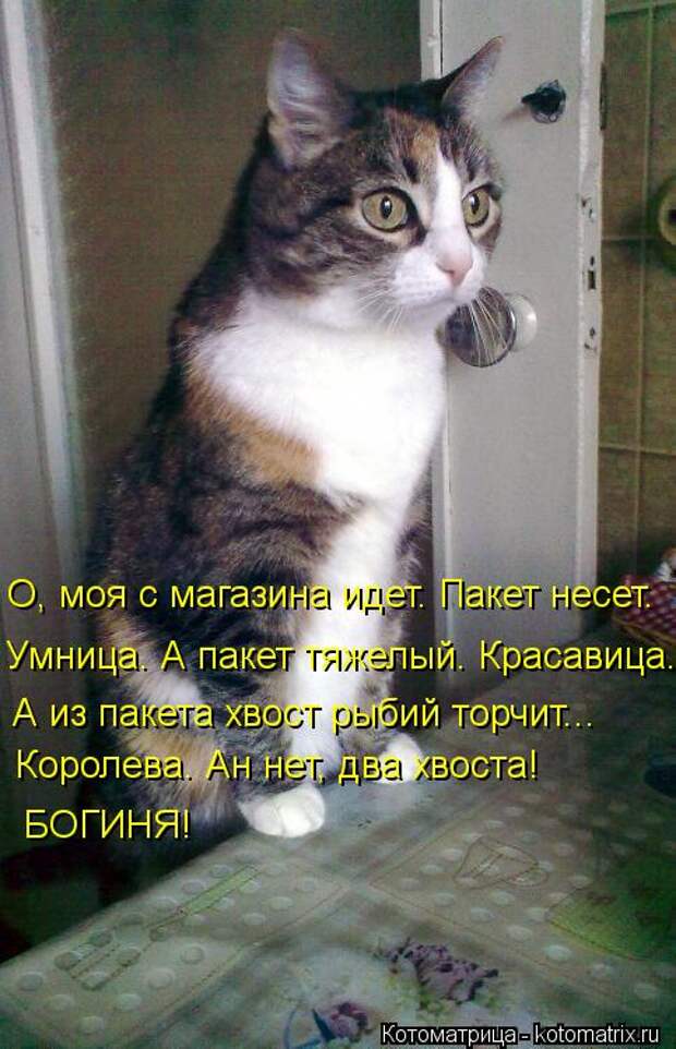Мысли вслух Мысли вслух