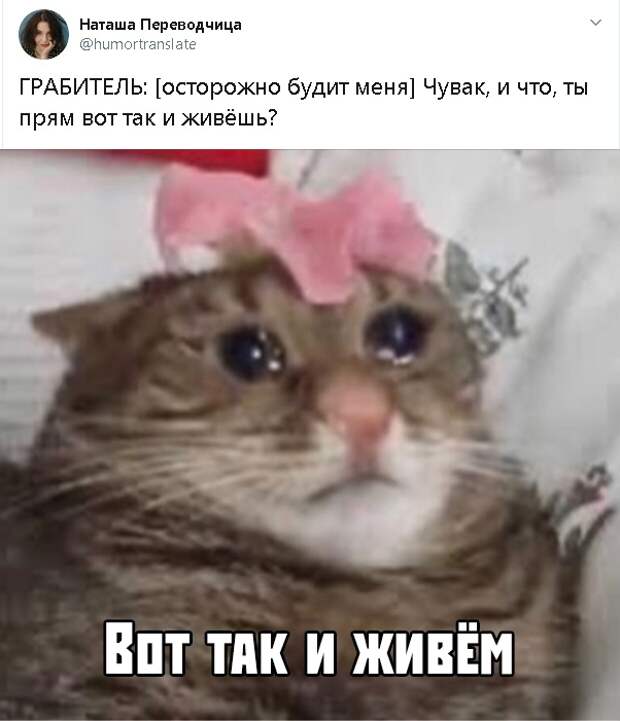www.vsyako.net